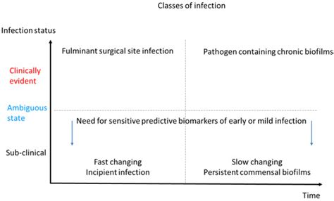 A Host-Directed Approach to the Detection of Infection in Hard-to-Heal ...
