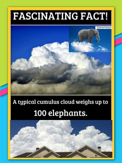 Ravi Dixit on LinkedIn: CUMULUS CLOUDS & AIRAVATA Have you ever wondered how much a cloud weighs?…