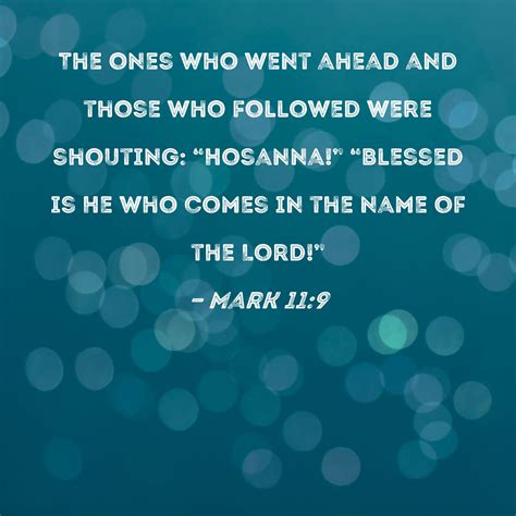 Hosanna Meaning Kjv Official Sale | ids-deutschland.de