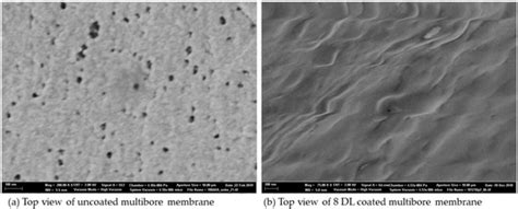 Characterization and Performance of LbL-Coated Multibore Membranes ...