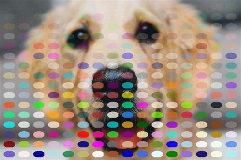 Image result for Python ImageDraw Examples