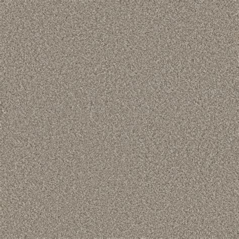 STAINMASTER (Sample) Thesis Drama Silver 54-oz sq yard Polyester ...