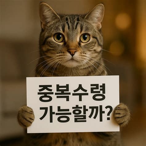 정부지원금 중복수령 가능할까? 2025 실전가이드