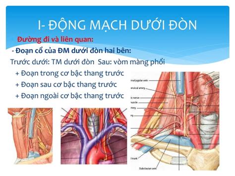 Image result for HTML Tutorial Exercise
