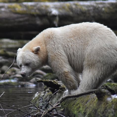 NORM HANN EXPEDITIONS (2026) All You Need to Know BEFORE You Go (with ...