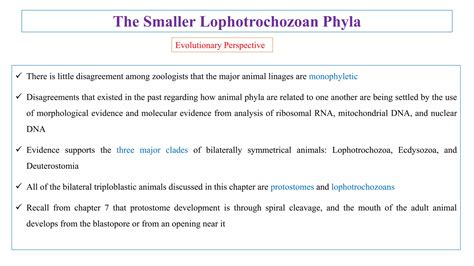 The Smaller Lophotrochozoan Phyla.pptx