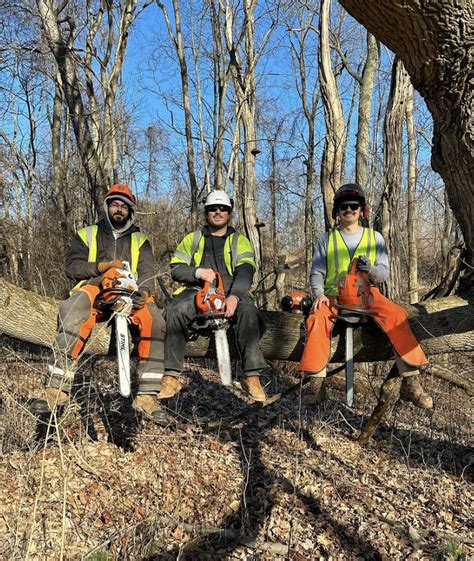 Image result for Tree Top Tree Service