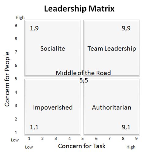 Image result for Leadership Matrix Example
