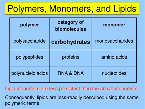 Carbohydrates Monomer