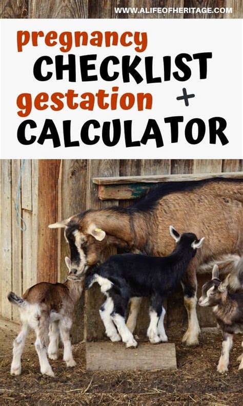 Gestation Calendar Goats - Printable Calendars AT A GLANCE