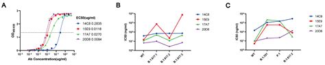 Development of an ELISA Assay for the Determination of SARS-CoV-2 ...