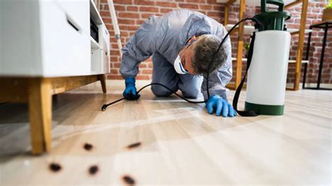 Cockroach Extermination Method 的图像结果