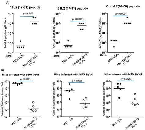 Mixed Bacteriophage MS2-L2 VLPs Elicit Long-Lasting Protective ...