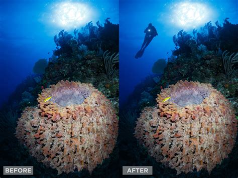 Compositing Tutorials 的图像结果