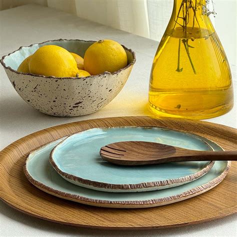 Heaven & Hearth Dinner Plate | 10 Inches | Blue – Lagavi