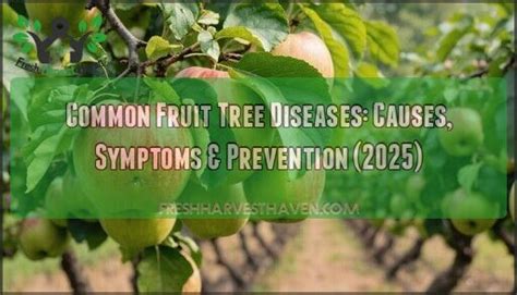Image result for Fruit Tree Problems