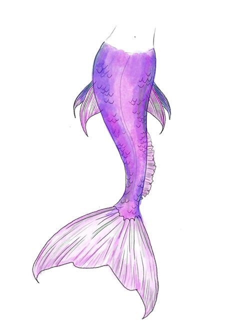 How to draw a mermaid tail in 15 easy steps – Artofit