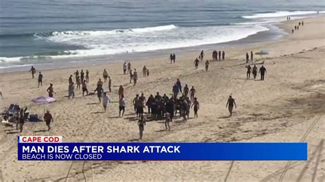 Man dies after suspected shark attack on Cape Cod | fox61.com