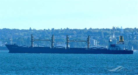 GOLDEN OCEAN, Bulk Carrier - Details and current position - IMO 9138628 ...