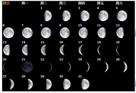 农历二十五号是什么月亮-农历二十八的月亮是什么样的，请指教。