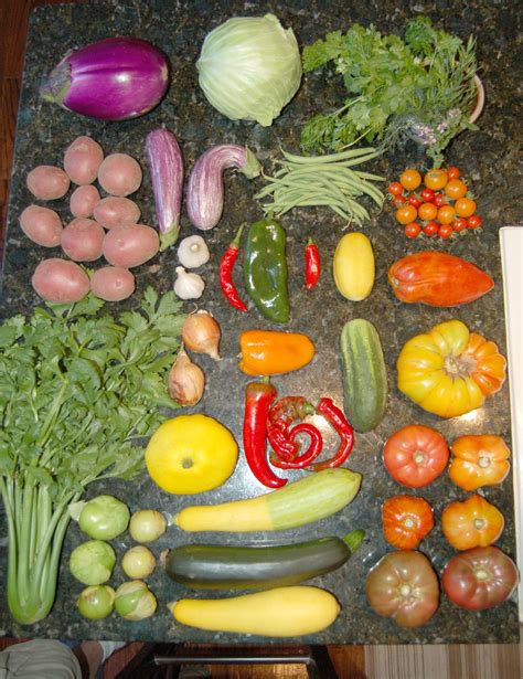 Feast on the Flavors of Cherokee Cuisine: Homegrown Goodness for the Soul