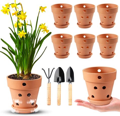 Amazon.com : Remerry 6 Pcs Orchid Pot with Drainage Holes and Saucers ...
