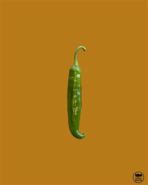 Gallery – West Coast Diesels