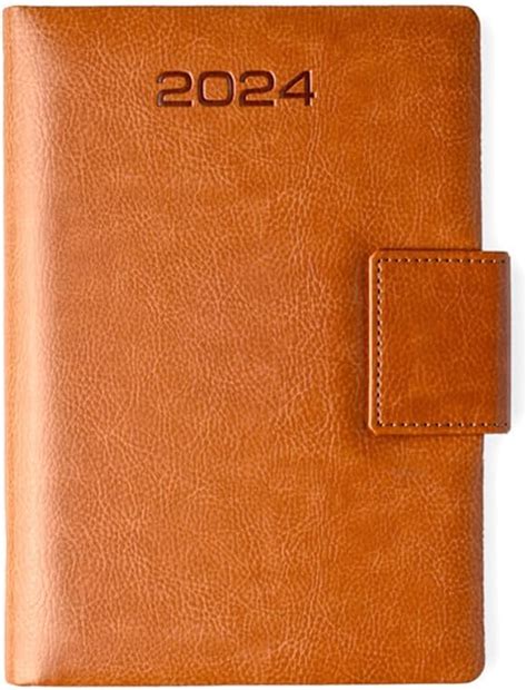 Mahavir Executive Diary 2025 | A5 Size | One-Day-to-a-Page New Year ...