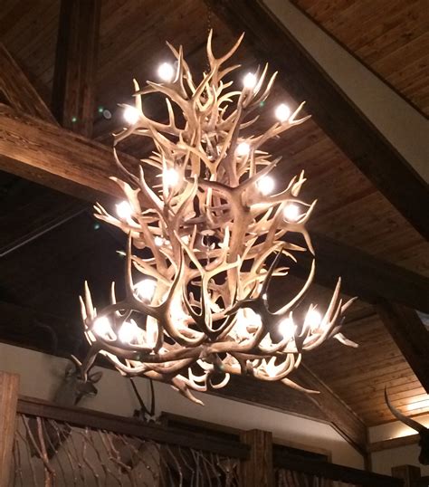 XL Antler Chandeliers | Antler Chandelier