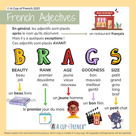 French Adjectives Position | Learn french, French basics, French flashcards