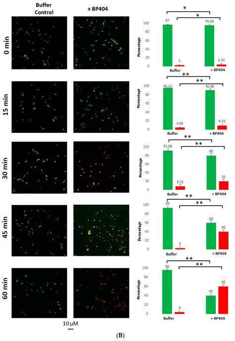 Construction and Activity Testing of a Modular Fusion Peptide against ...