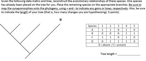 Image result for Create a Phylogenetic Tree Based On a Data Matrix