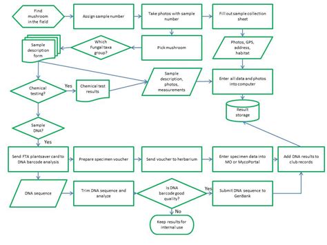 Image result for Simple Process Flowchart of DNA Barcoding