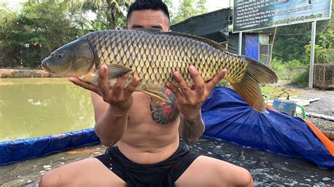 AMBIL SEKARANG