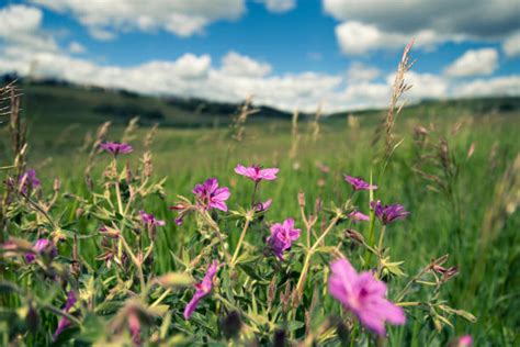 Image result for Unity Multithreading