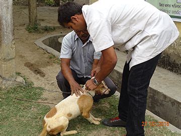 Picture Gallery - Unnat Bharat Abhiyan