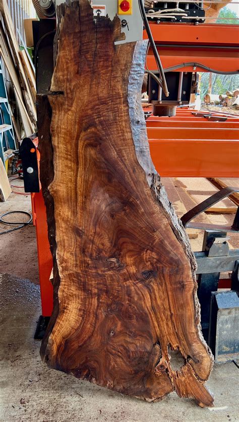 Walnut Wood Slab 46" x 19" x 1 3/4" - Frison-Logue Hardwoods