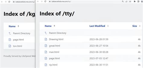 Image result for Exploit Files