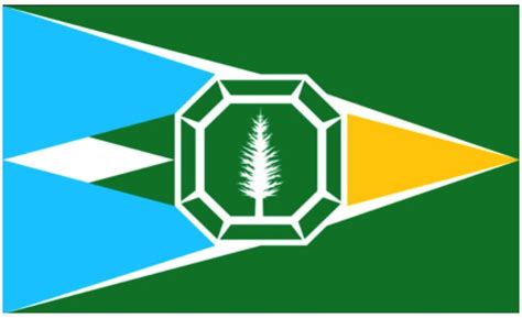 Washington State Flag