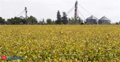 Bayer CropScience Ltd: Bayer CropScience launches buy-back offer of up ...