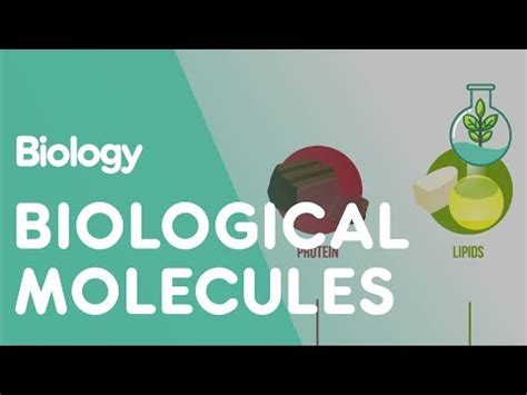Biological Molecules- Cell Video Lecture - Crash Course for EmSAT Achieve