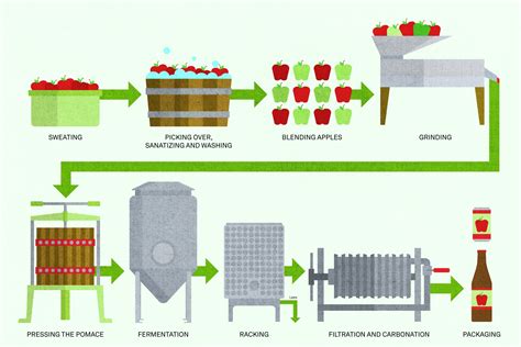 How Hard Cider Is Made | Wine Enthusiast