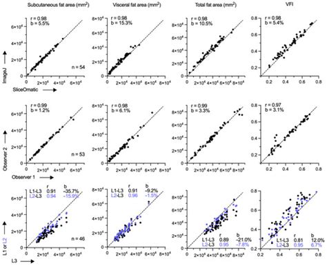 Visceral Obesity in Non-Small Cell Lung Cancer