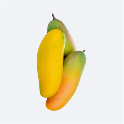 Buy Thai Banana Mango Grafted Plant Online @ Best Price