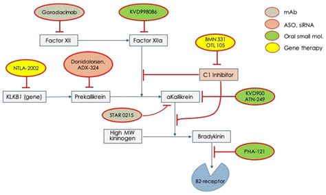 Hereditary Angioedema (HAE) | Encyclopedia MDPI