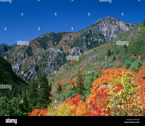 USA, Utah, Uinta National Forest, Box Elder Peak rises beyond fall ...