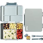 Buy Basil Bento Box Quad Plus – 4 Compartment Stainless Steel Lunch Box ...