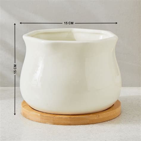 Buy Gloria Sane Ceramic Planter with Wooden Base from Home Centre at ...