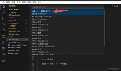 vs Code C Debug 的图像结果