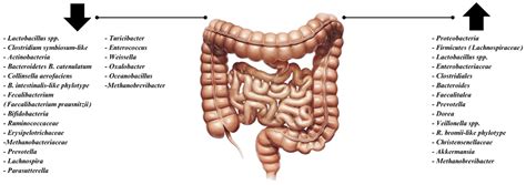 Impact of Microbiota on Irritable Bowel Syndrome Pathogenesis and ...